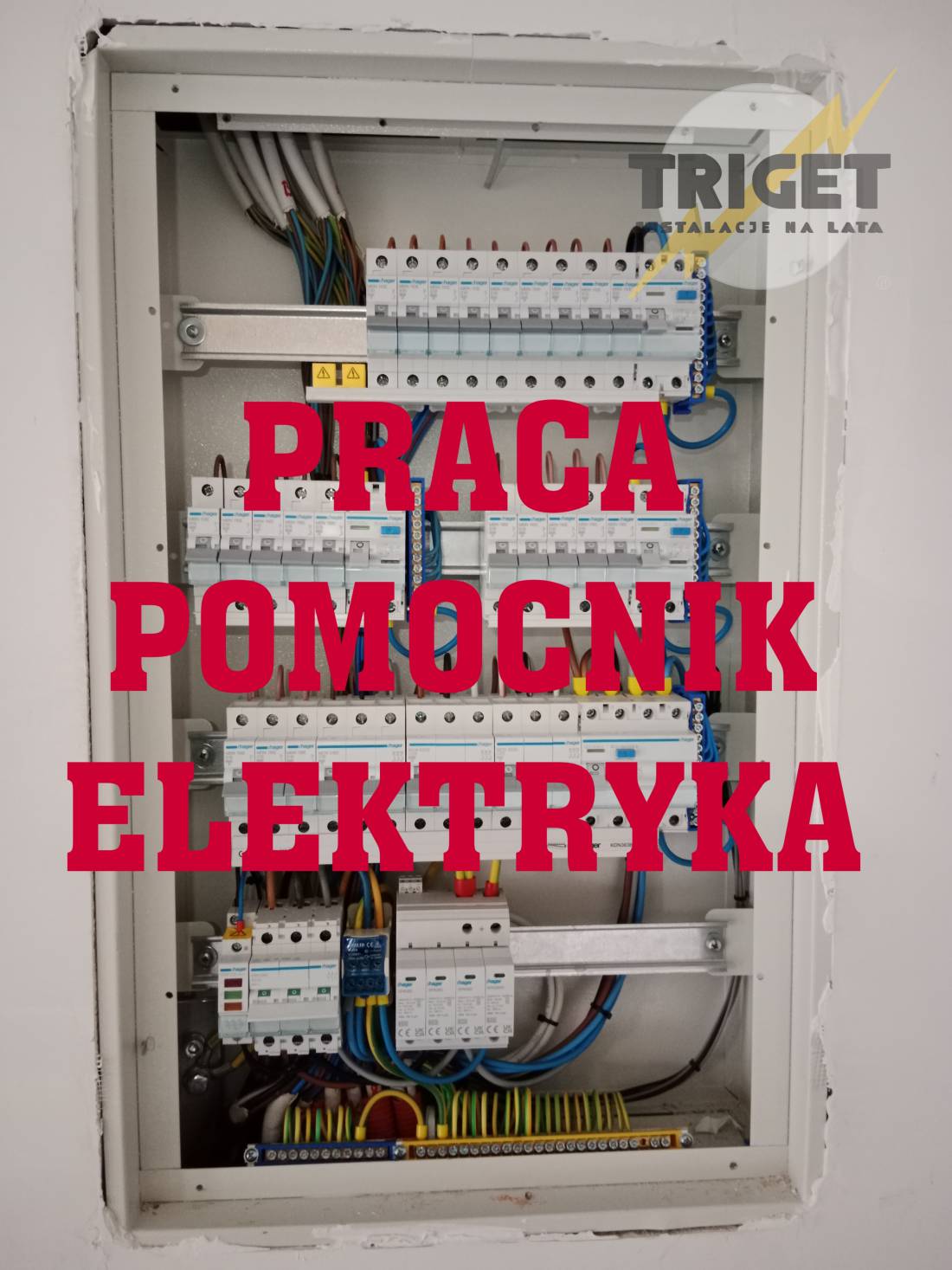 Praca: TRIGET - POSZUKUJE POMOCNIKA ELEKTRYKA.