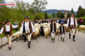  40 Babiogórska Jesień „Powrót do korzeni&quot; w Zawoi (foto/video)