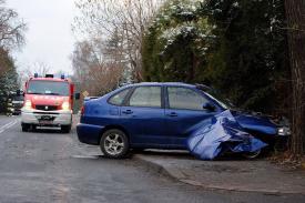 Budzów: Po kolizji osobówki z ciężarówką, jedna osoba przewieziona do szpitala