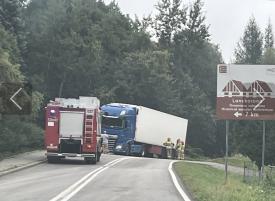 Chciał ominąć zwierzę, wpadł do rowu. 