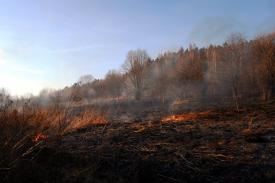 Marcówka: Pożar zarośli, krzewów i traw na powierzchni 1,5 ha 